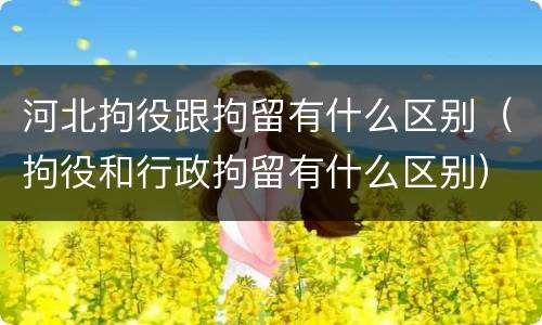 河北拘役跟拘留有什么区别（拘役和行政拘留有什么区别）