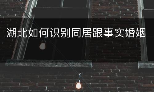 湖北如何识别同居跟事实婚姻