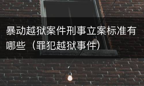 暴动越狱案件刑事立案标准有哪些（罪犯越狱事件）