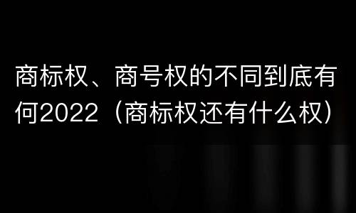 商标权、商号权的不同到底有何2022（商标权还有什么权）