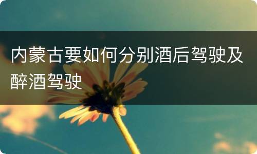 内蒙古要如何分别酒后驾驶及醉酒驾驶