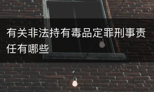 有关非法持有毒品定罪刑事责任有哪些