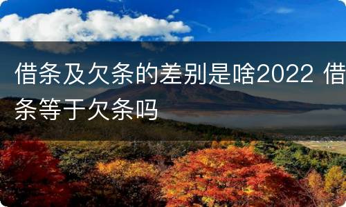 借条及欠条的差别是啥2022 借条等于欠条吗