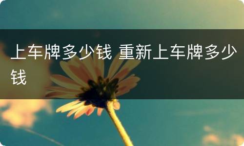 上车牌多少钱 重新上车牌多少钱