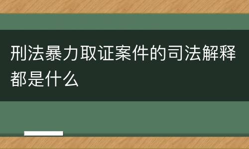 刑法暴力取证案件的司法解释都是什么