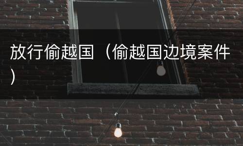 放行偷越国（偷越国边境案件）
