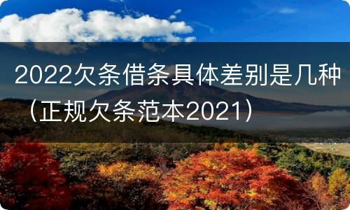 2022欠条借条具体差别是几种（正规欠条范本2021）