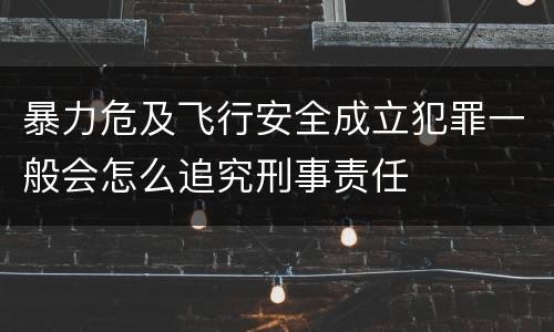 暴力危及飞行安全成立犯罪一般会怎么追究刑事责任