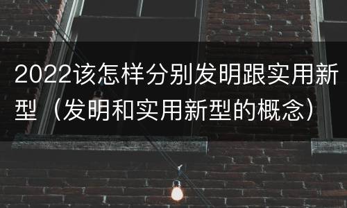 2022该怎样分别发明跟实用新型（发明和实用新型的概念）