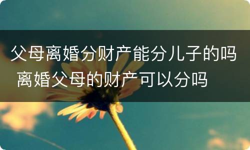 父母离婚分财产能分儿子的吗 离婚父母的财产可以分吗