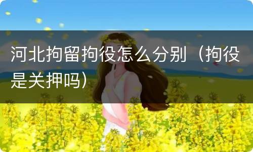 河北拘留拘役怎么分别（拘役是关押吗）