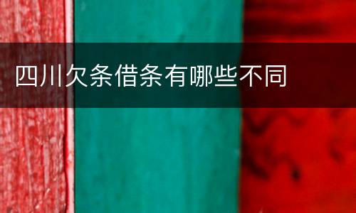 四川欠条借条有哪些不同
