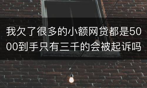 我欠了很多的小额网贷都是5000到手只有三千的会被起诉吗