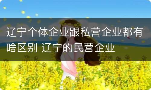 辽宁个体企业跟私营企业都有啥区别 辽宁的民营企业