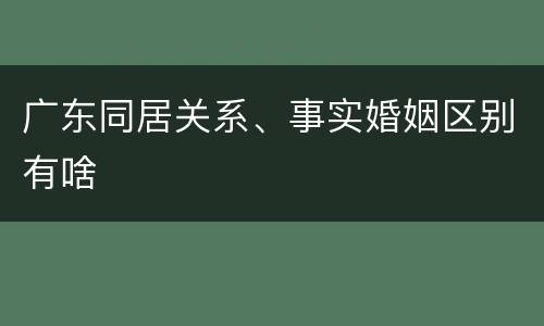 广东同居关系、事实婚姻区别有啥