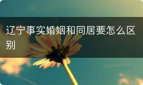 辽宁事实婚姻和同居要怎么区别