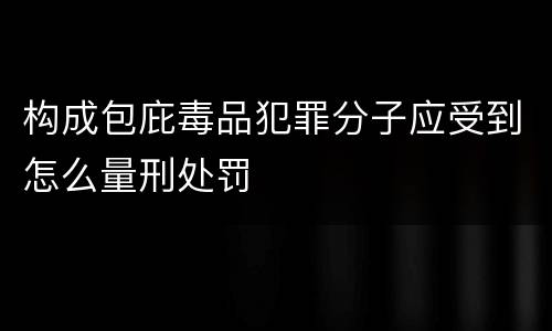 构成包庇毒品犯罪分子应受到怎么量刑处罚