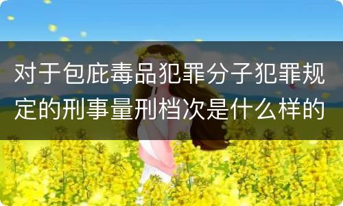 对于包庇毒品犯罪分子犯罪规定的刑事量刑档次是什么样的