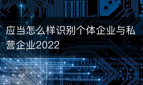 应当怎么样识别个体企业与私营企业2022