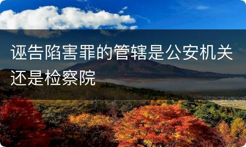 诬告陷害罪的管辖是公安机关还是检察院