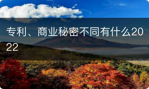 专利、商业秘密不同有什么2022