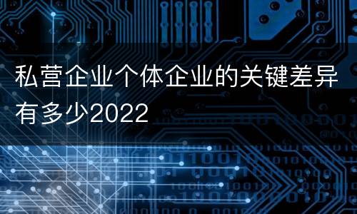 私营企业个体企业的关键差异有多少2022