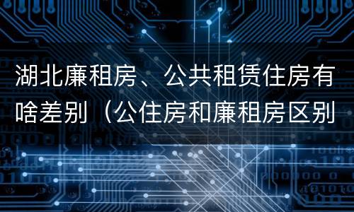 湖北廉租房、公共租赁住房有啥差别（公住房和廉租房区别）
