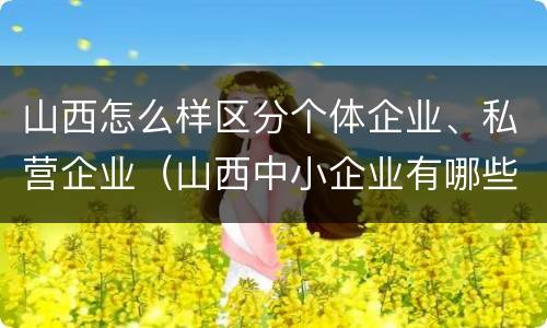 山西怎么样区分个体企业、私营企业（山西中小企业有哪些）