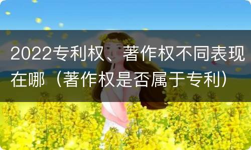2022专利权、著作权不同表现在哪（著作权是否属于专利）