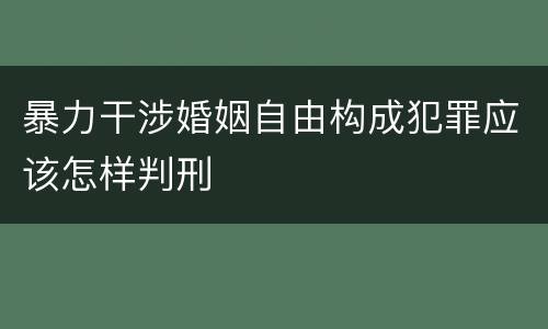暴力干涉婚姻自由构成犯罪应该怎样判刑