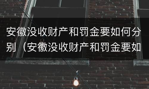 安徽没收财产和罚金要如何分别（安徽没收财产和罚金要如何分别缴纳）