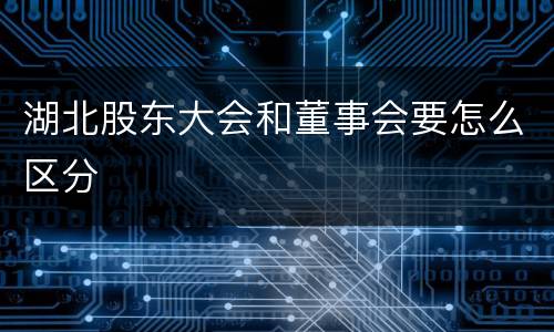 湖北股东大会和董事会要怎么区分