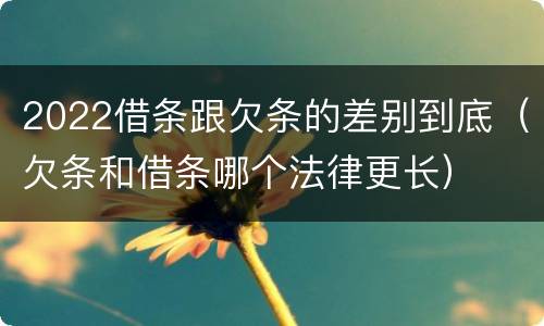 2022借条跟欠条的差别到底（欠条和借条哪个法律更长）