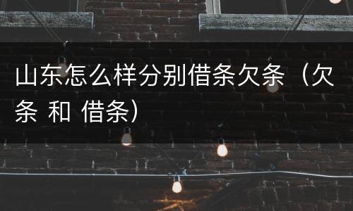 山东怎么样分别借条欠条（欠条 和 借条）