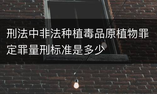 刑法中非法种植毒品原植物罪定罪量刑标准是多少