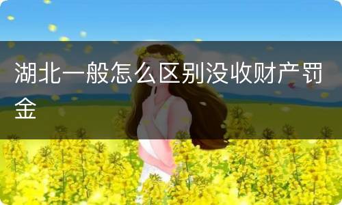 湖北一般怎么区别没收财产罚金