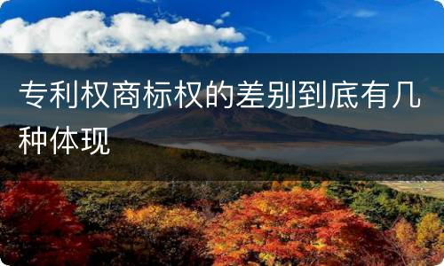 专利权商标权的差别到底有几种体现