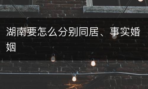 湖南要怎么分别同居、事实婚姻