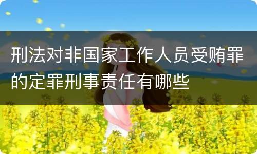 刑法对非国家工作人员受贿罪的定罪刑事责任有哪些
