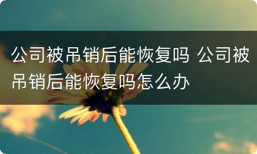 公司被吊销后能恢复吗 公司被吊销后能恢复吗怎么办