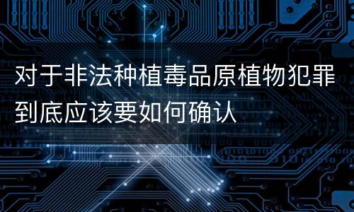 对于非法种植毒品原植物犯罪到底应该要如何确认