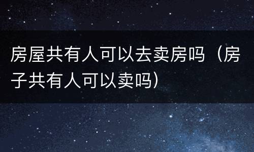 房屋共有人可以去卖房吗（房子共有人可以卖吗）