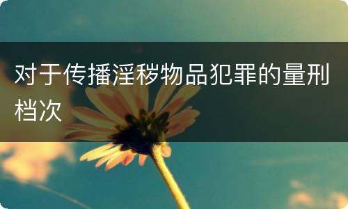 对于传播淫秽物品犯罪的量刑档次