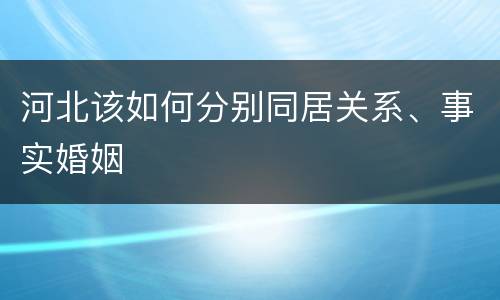 河北该如何分别同居关系、事实婚姻