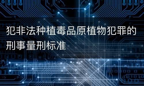 犯非法种植毒品原植物犯罪的刑事量刑标准