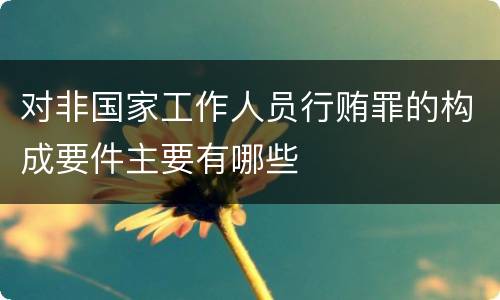对非国家工作人员行贿罪的构成要件主要有哪些