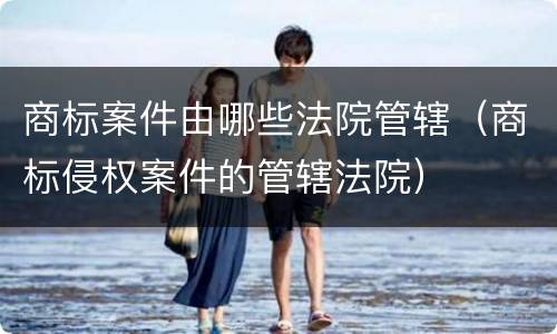 商标案件由哪些法院管辖（商标侵权案件的管辖法院）