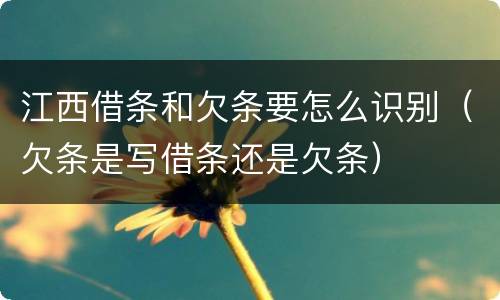 江西借条和欠条要怎么识别（欠条是写借条还是欠条）