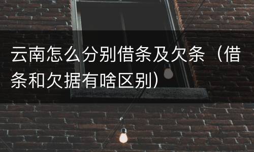 云南怎么分别借条及欠条（借条和欠据有啥区别）