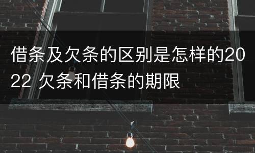 借条及欠条的区别是怎样的2022 欠条和借条的期限
